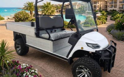 Nouveaux Véhicules Homologués